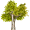 aspen5