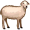 ewe5