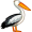 pelican5