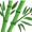 bamboo5