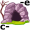 c-av-e5