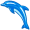 dolphin5