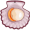 scallop5