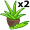 aloes5