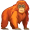orangutan5