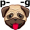 p-u-g5