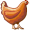 broiler5