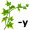 iv-y5