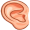 ear5