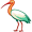 ibis5