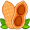 nut5