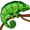 chameleon5