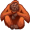 orangutan5