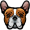 bulldog5