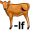 ca-lf5