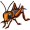 cricket5