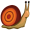 snail5