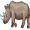 rhino5