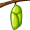 chrysalis5