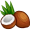 coconut5