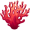 coral5