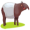 tapir5