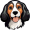 dog5