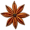 anise5
