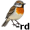 bird5