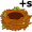 nests5