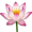 lotus5