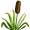reed5