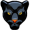 panther5