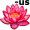 lotus5