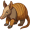 armadillo5