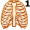 rib5