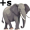 elephant5