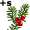 yew5