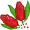 sumac5
