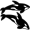 orcas5
