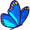 butterfly5
