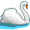 swan5