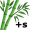 bamboo5