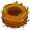 nest5