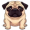 pug5
