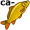 carp5