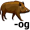 hog5
