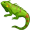 iguana5