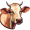 cow5