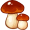 mushrooms5